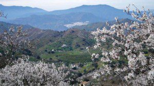 Valentine’s Day getaways without leaving the municipality