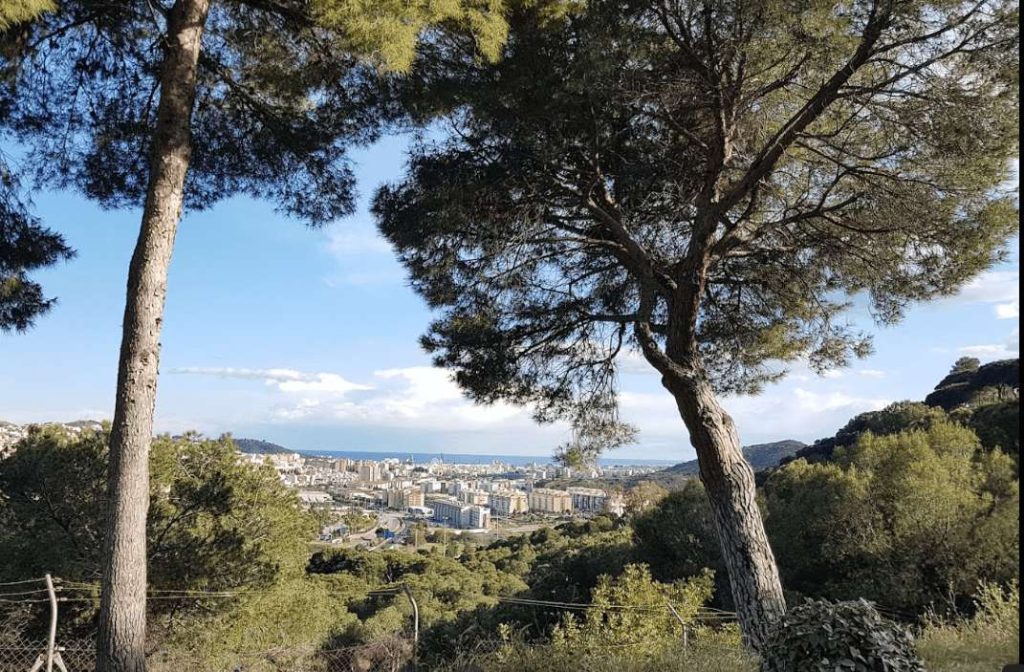 natural area in Malaga