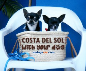 Visiting the Costa del Sol with your dog