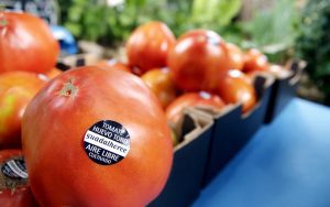 Tomato Huevo de Toro: Exquisite seasonal gastronomy