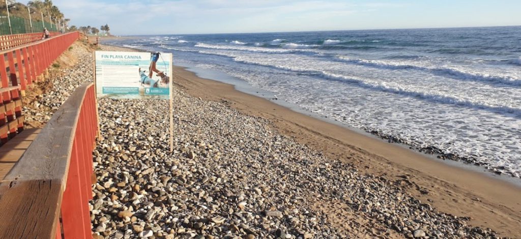 costa del sol mit hund, Hundefreundliche Strände in Málaga