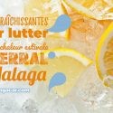 chaleur et terral à Malaga