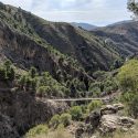 El Saltillo Malaga