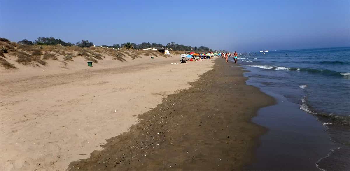 Plage Alicate avec sable fin et chiringuitos familiaux