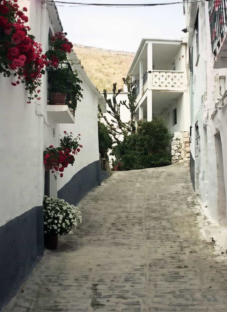 Ruelle pavée étroite dans un village de l’Alpujarra