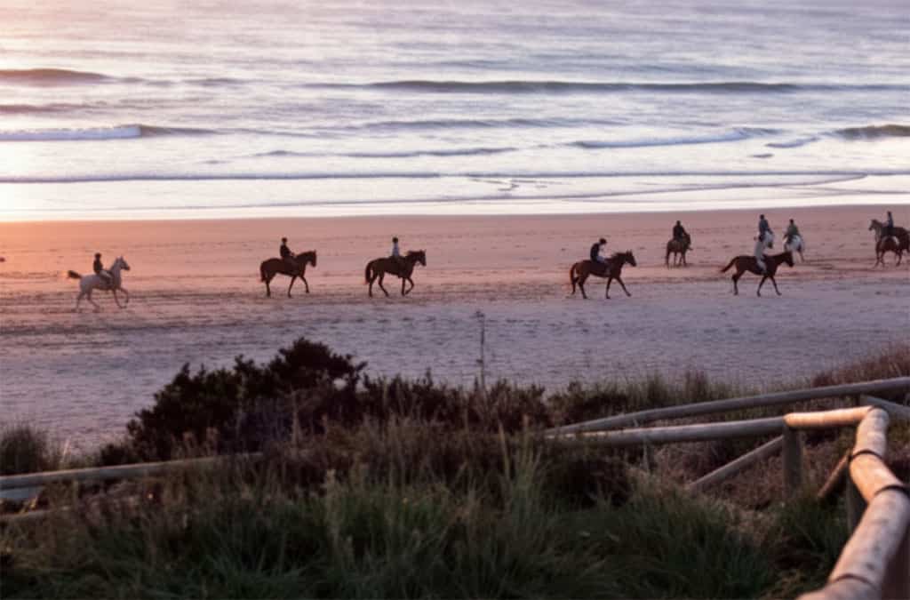 Paarden op het strand van Chiclana