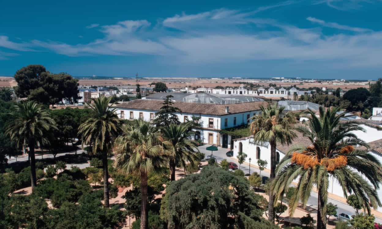 Vista aérea de Jerez de la Frontera con sus viñedos y monumentos