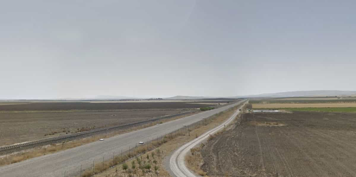 Bike road from Marchena to Osuna across olive groves