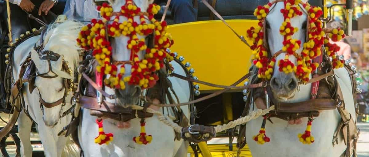 Défilé de chevaux à la foire