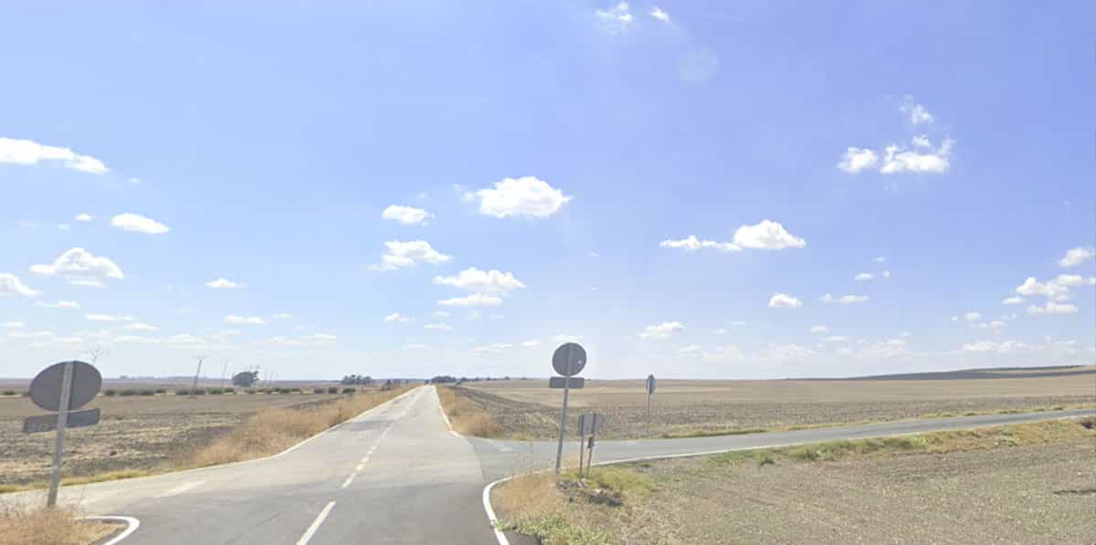 Rural road from Seville to Marchena through the Campiña