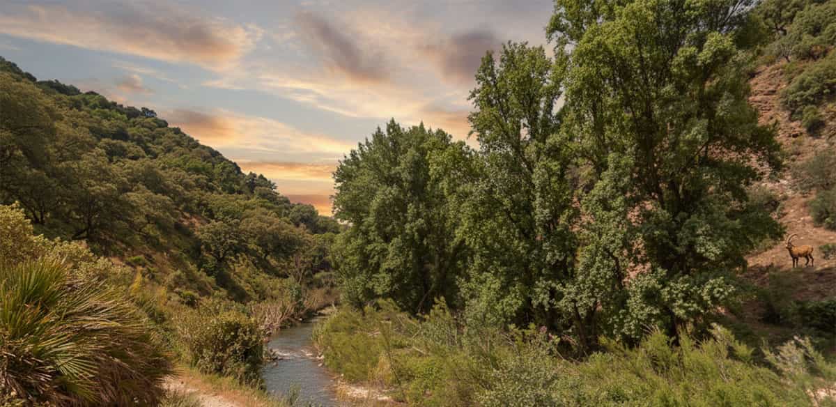 Rio Genal near Benaojan