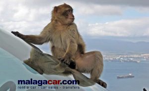 Met de auto naar Gibraltar? Hoe niet te wanhopen bij de poging