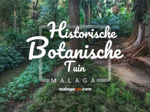 Bezoek aan de Historische Botanische Tuin van Málaga