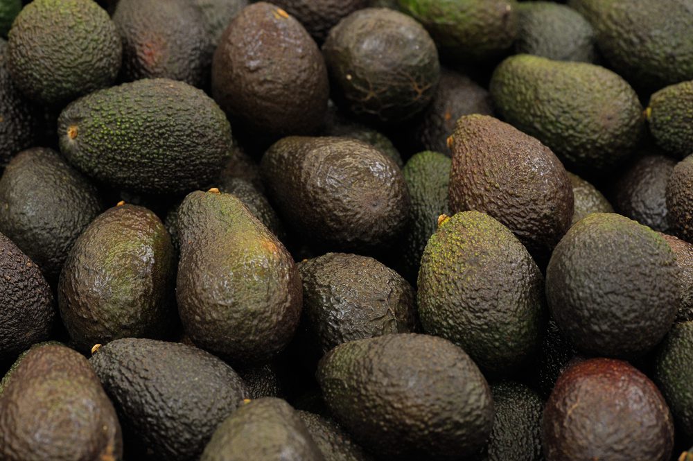 Aguacate de la Axarquía, Málaga