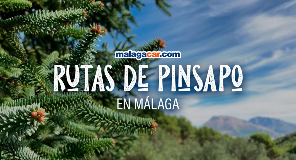 Pinsapos Málaga - Guía Costa del Sol