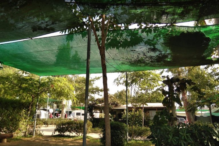 Vista de Camping Benajarafe en Málaga