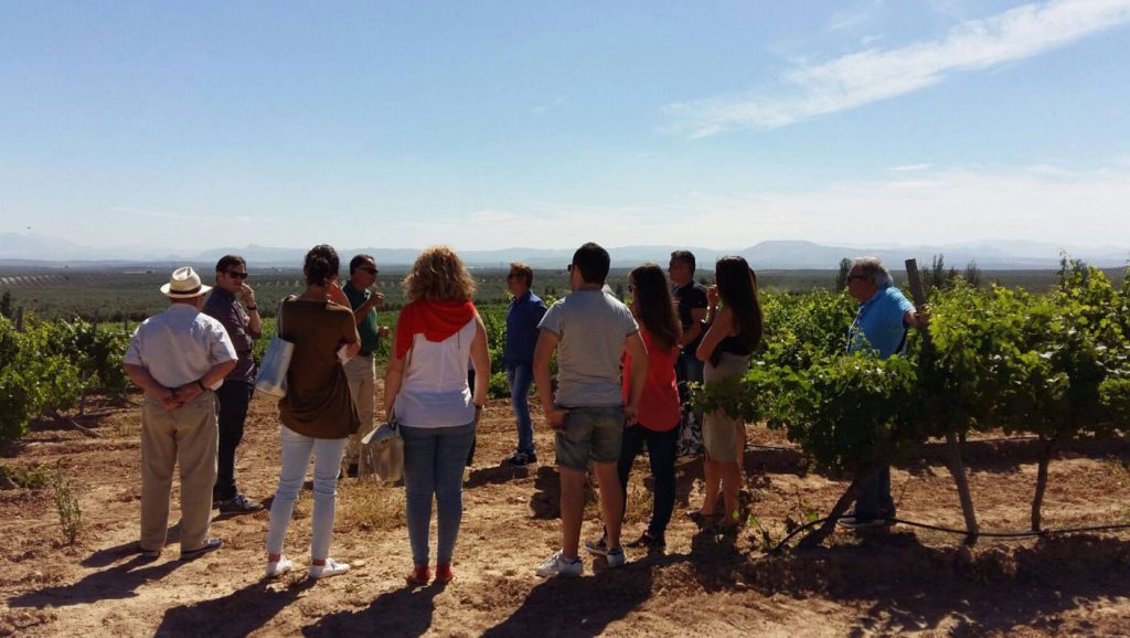 Bodega La Capuchina