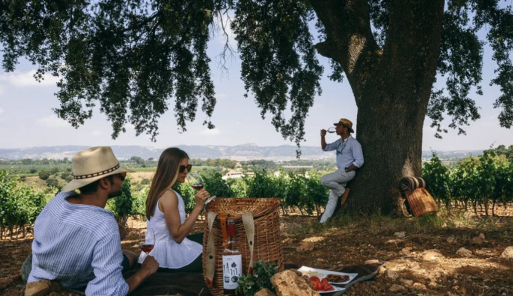 Bodega Los Aguilares