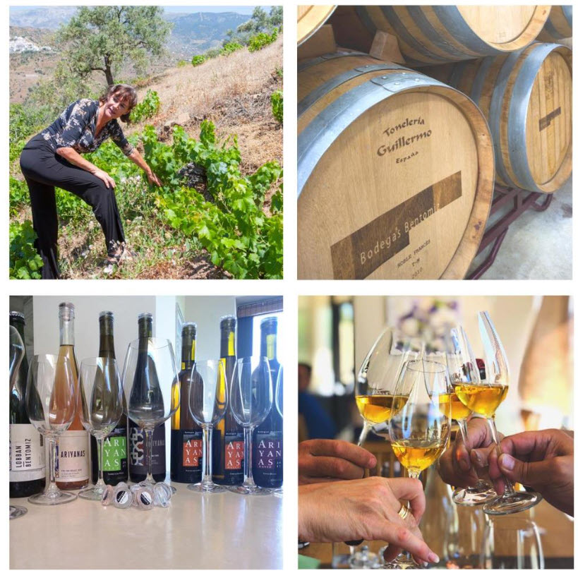Bodegas Bentomiz