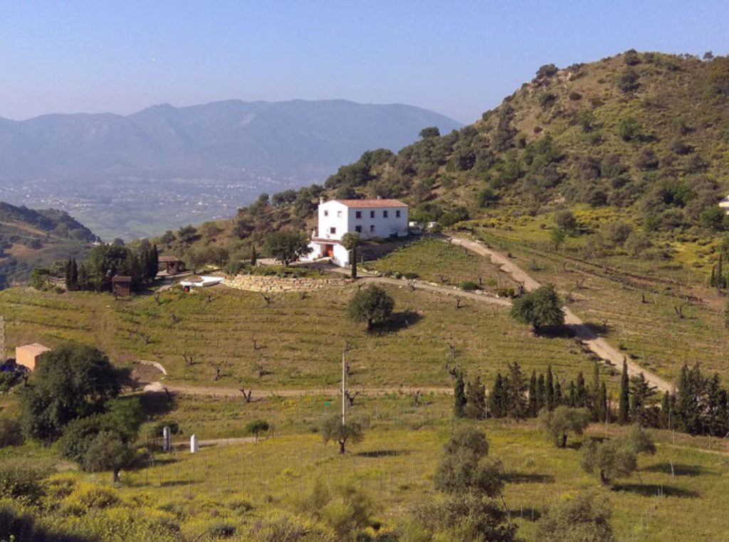 Bodegas Sanchez Rosado