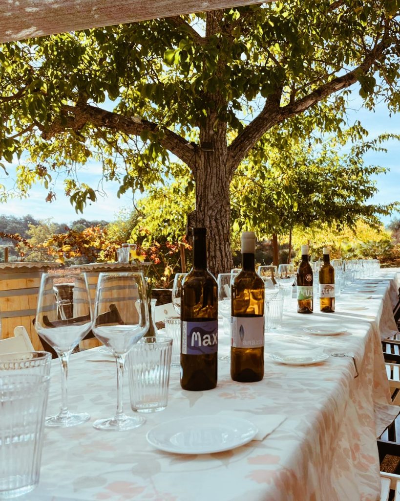 Bodega Kieninger
