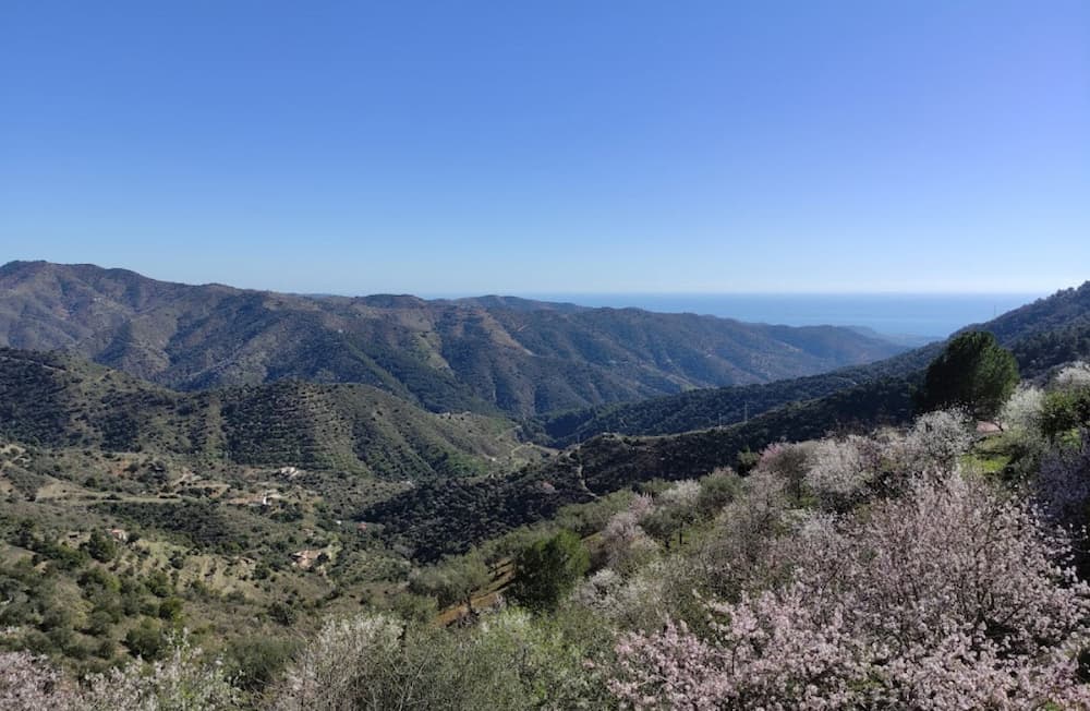 Bild der Montes de Málaga im Februar