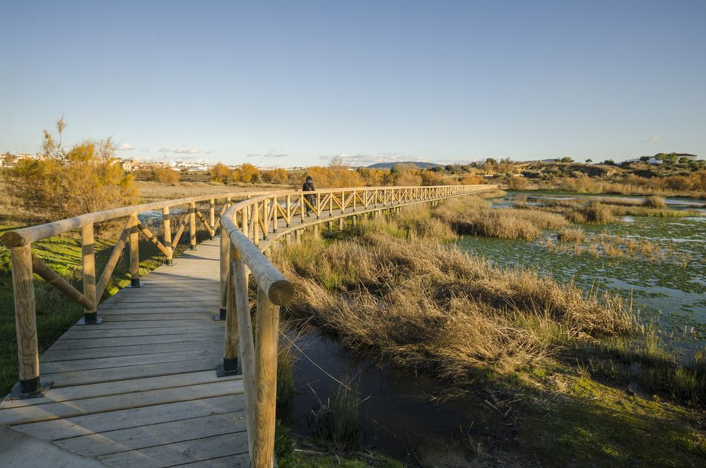 Fuente de Piedra Credit Depositphotos