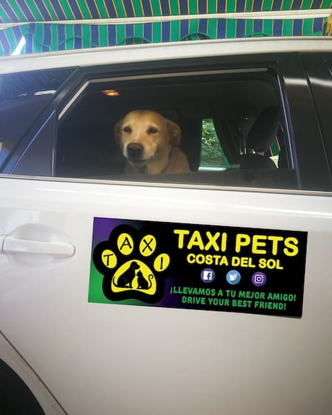 Taxi Pets Costa del Sol