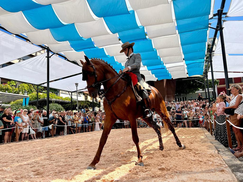 Día a Caballo Fuengirola