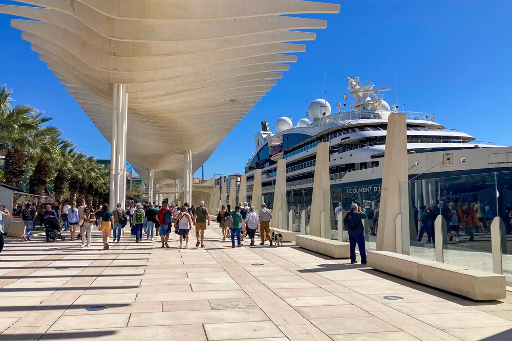 Palmeral de Sorpresas