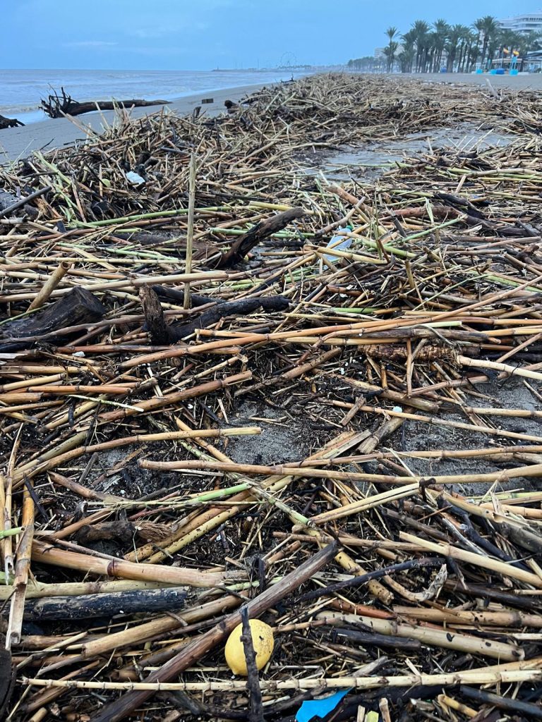 proteger coche inundaciones malaga