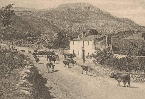 Antigua Venta de Alfarnate