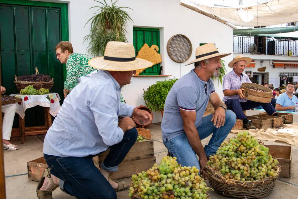 Día de la Pasa - El Borge