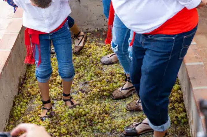 Fiesta de los Viñeros – Moclinejo