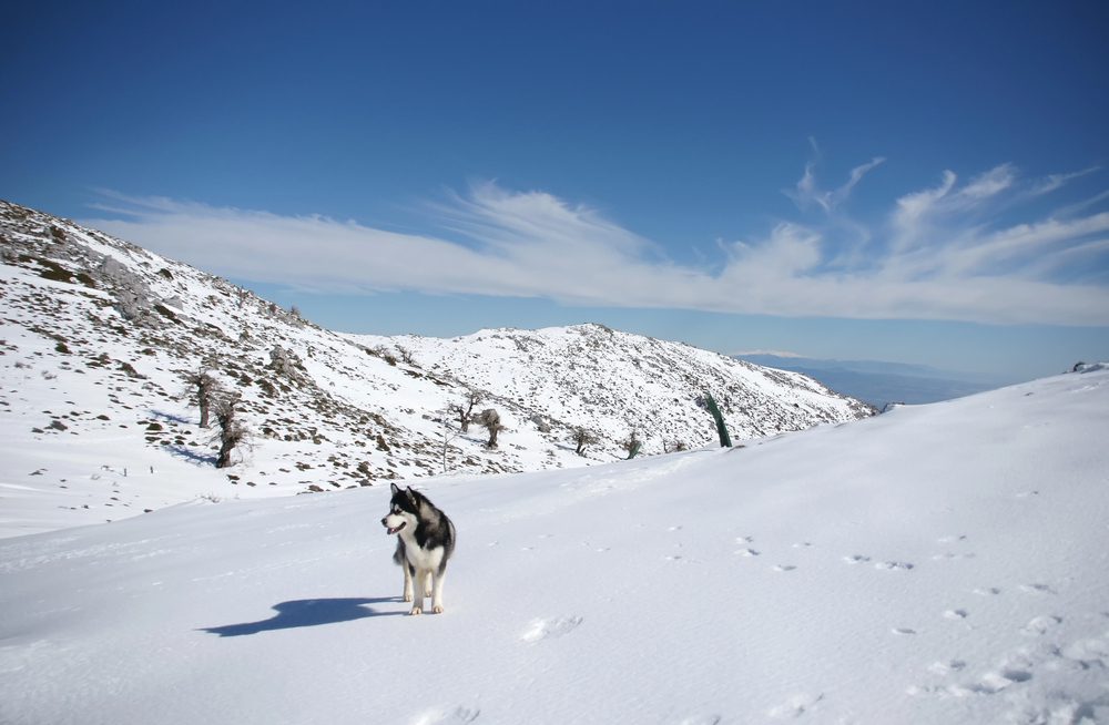 Sierra de las Nieves