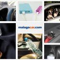 no dejar en el coche en verano