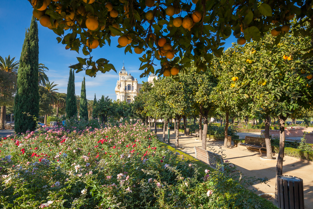 Jardines de Pedro Luis Alonso